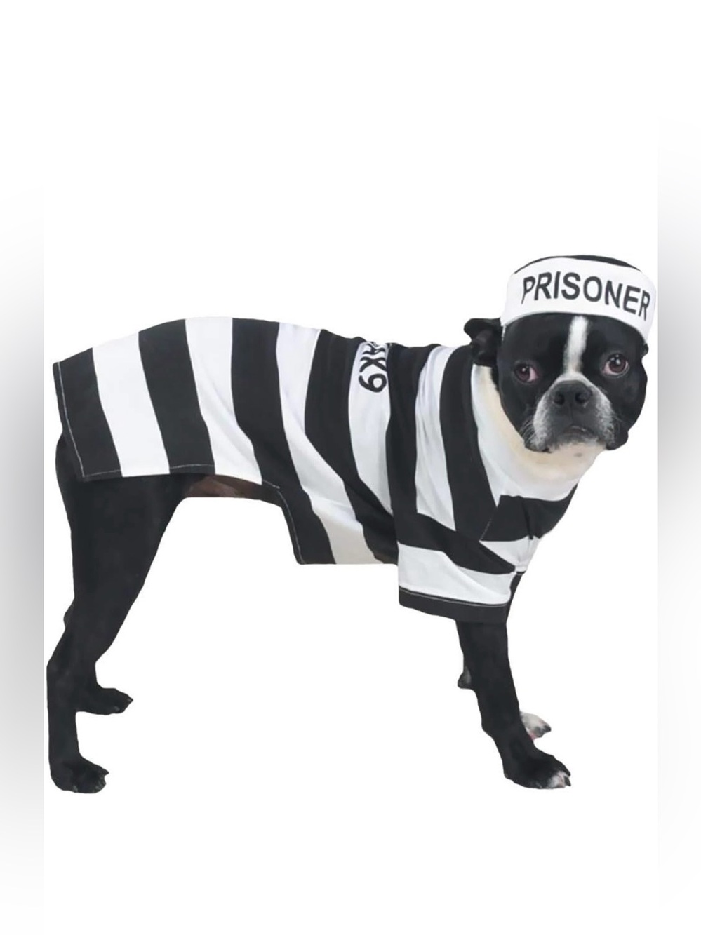 Prison Pooch Dog Halloween Costume – X-Large